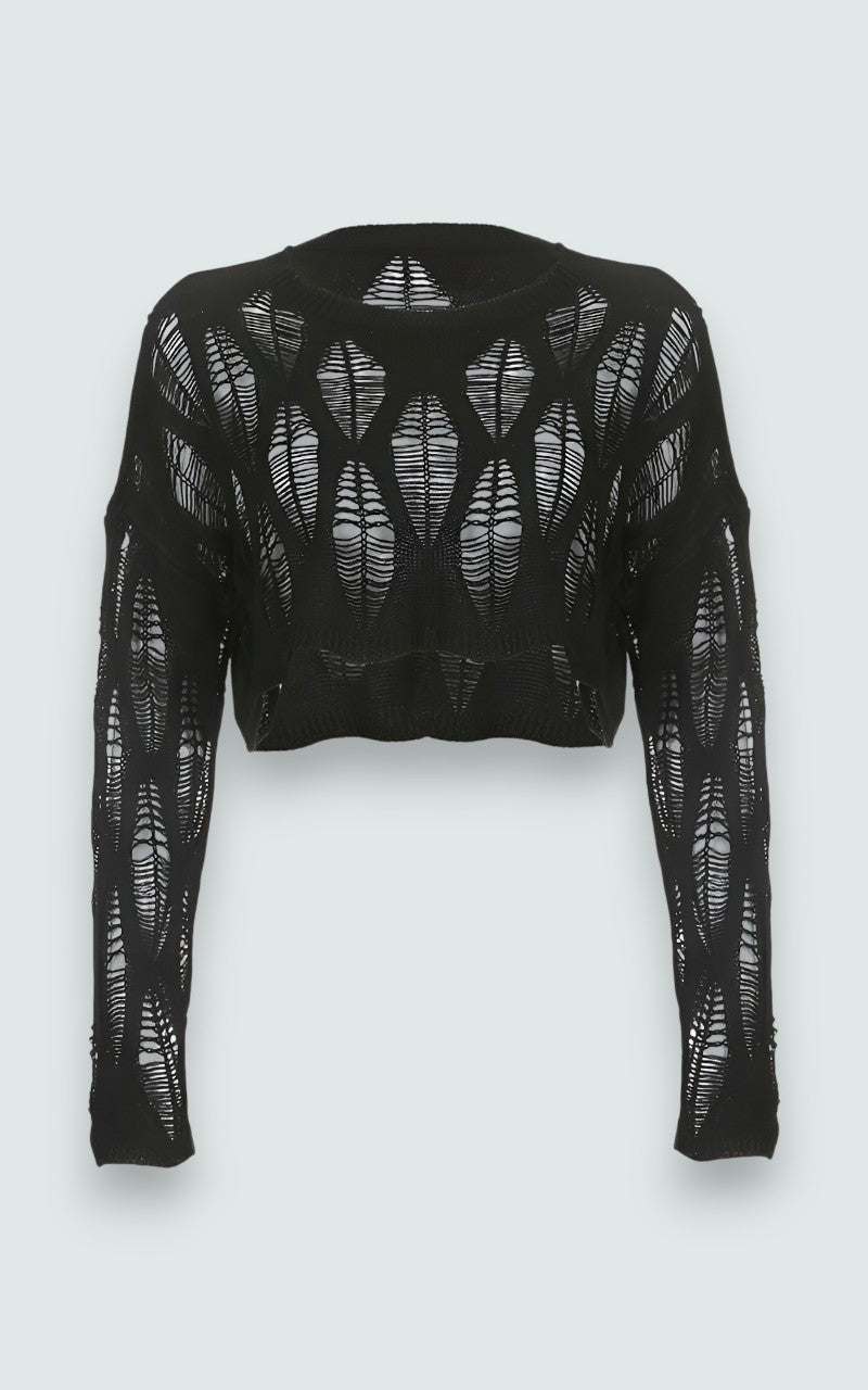 Ripped Mesh Crop Knit